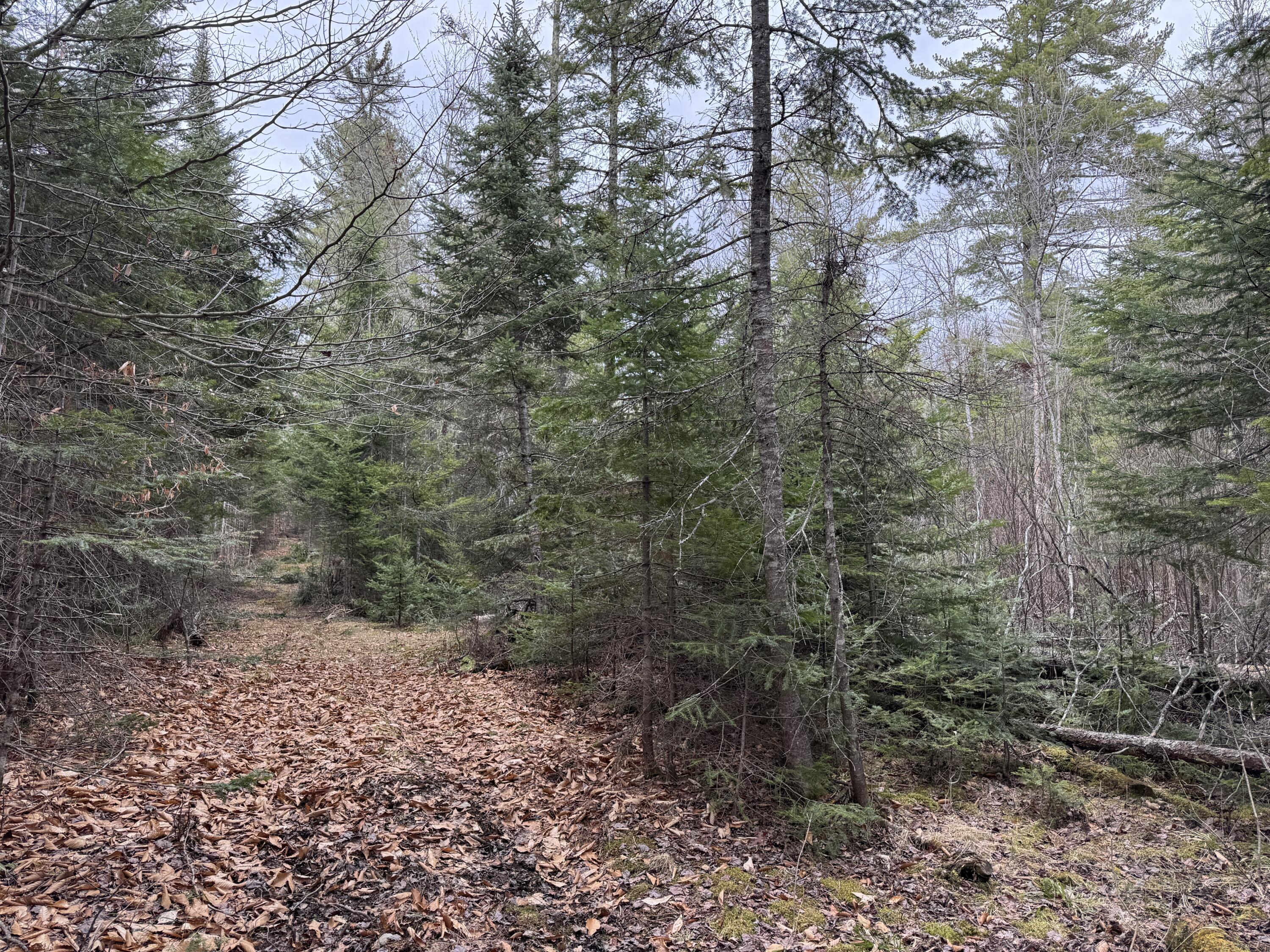 0 Mantor School House Road Parkman ME 04443