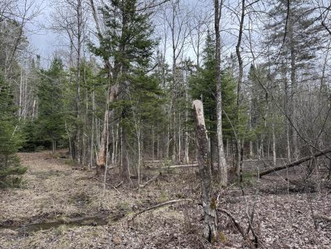 0 Mantor School House Road Parkman ME 04443