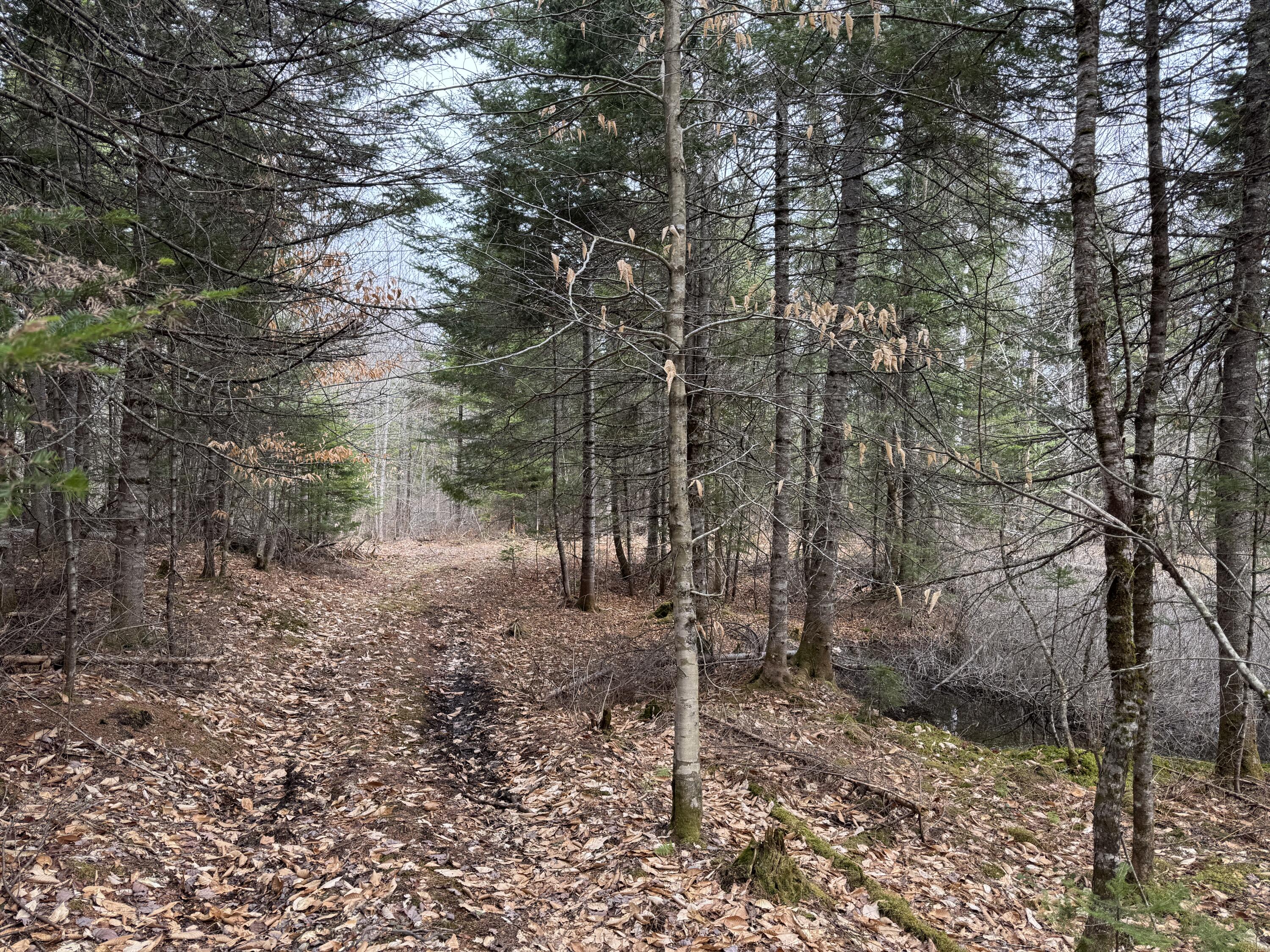 0 Mantor School House Road Parkman ME 04443