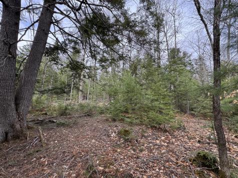 0 Mantor School House Road Parkman ME 04443