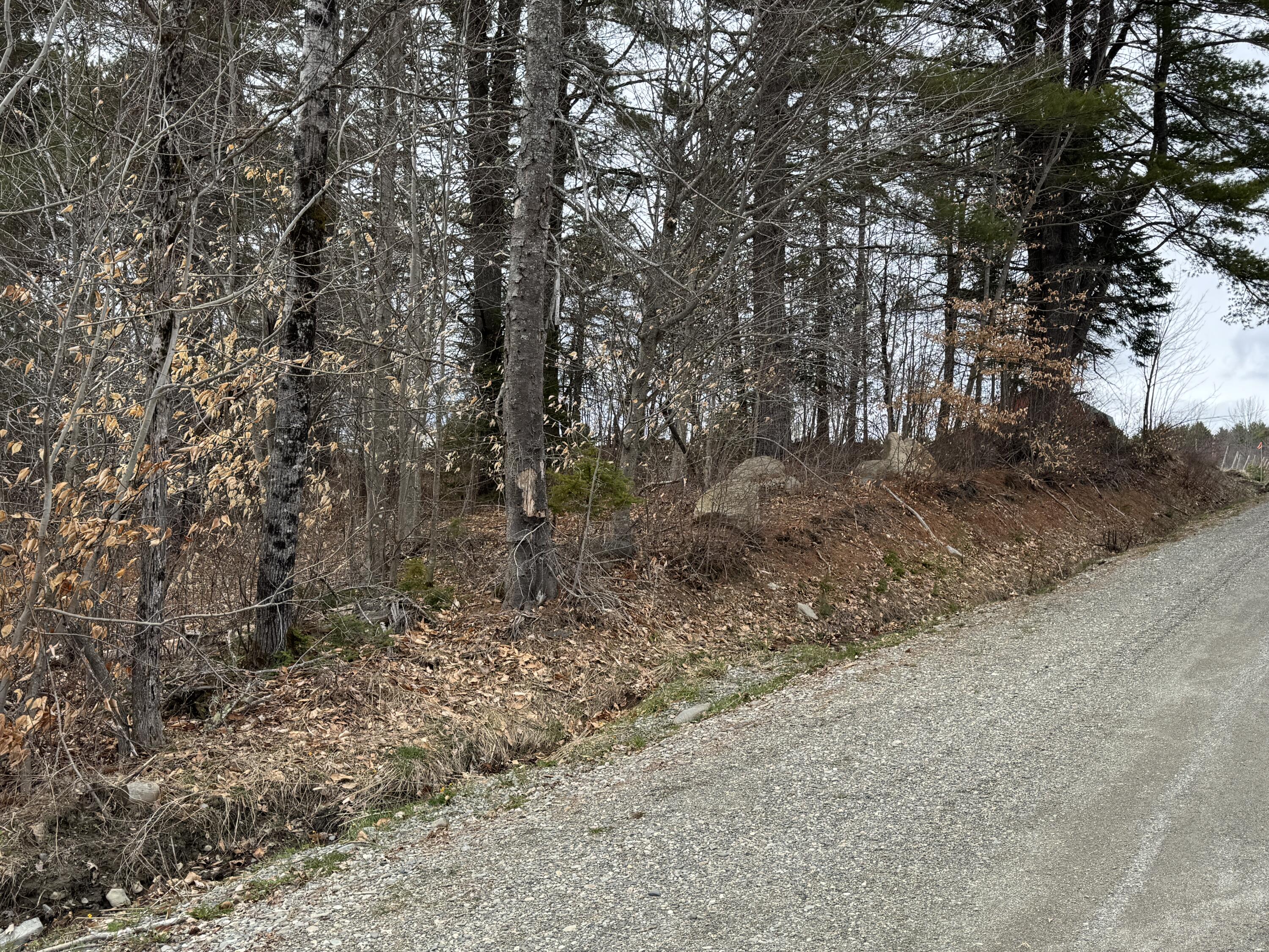 0 Mantor School House Road Parkman ME 04443