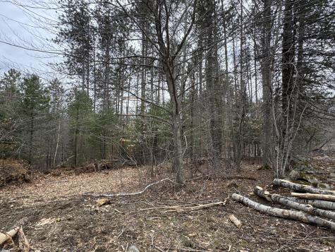 0 Mantor School House Road Parkman ME 04443