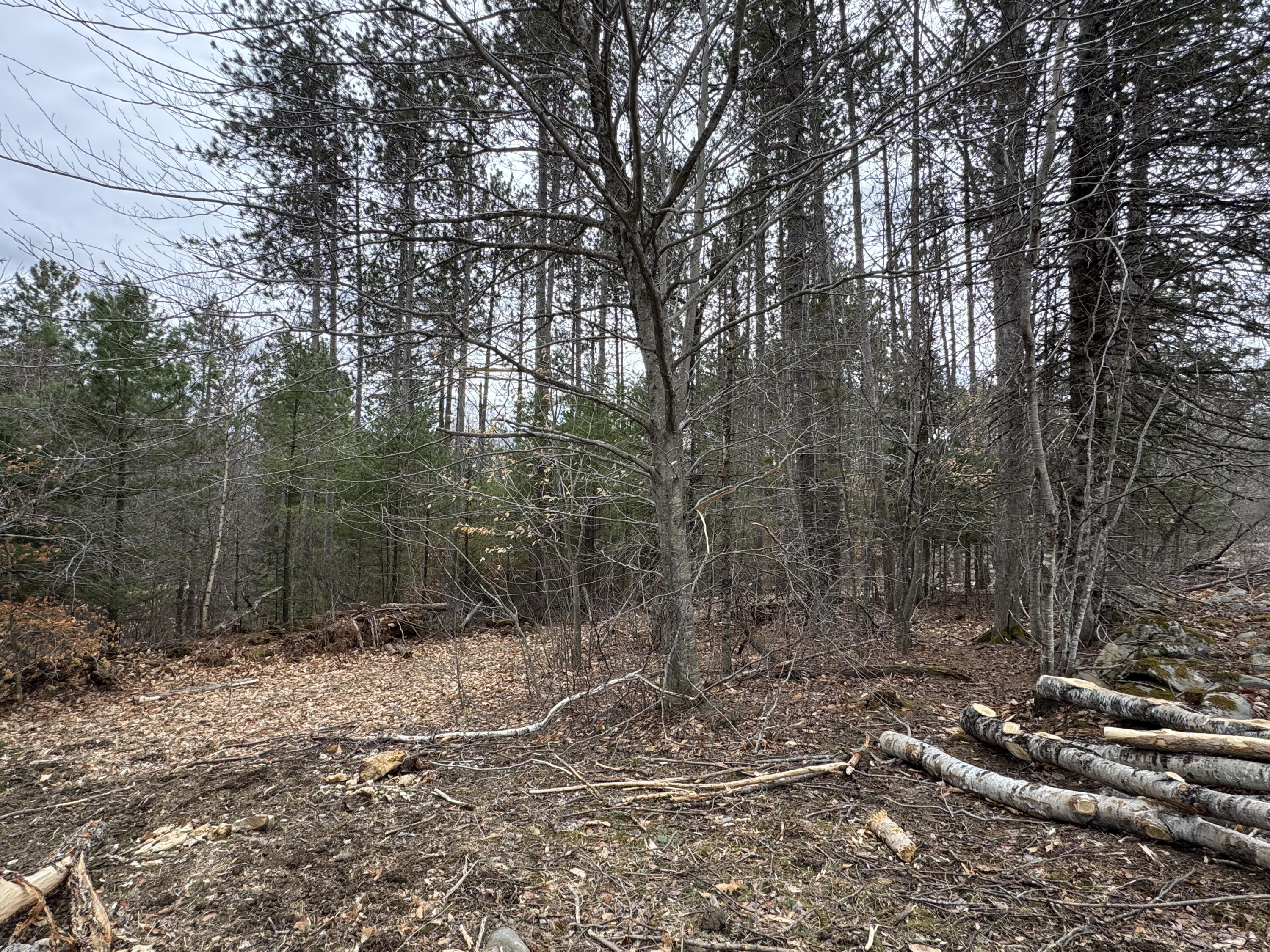 0 Mantor School House Road Parkman ME 04443