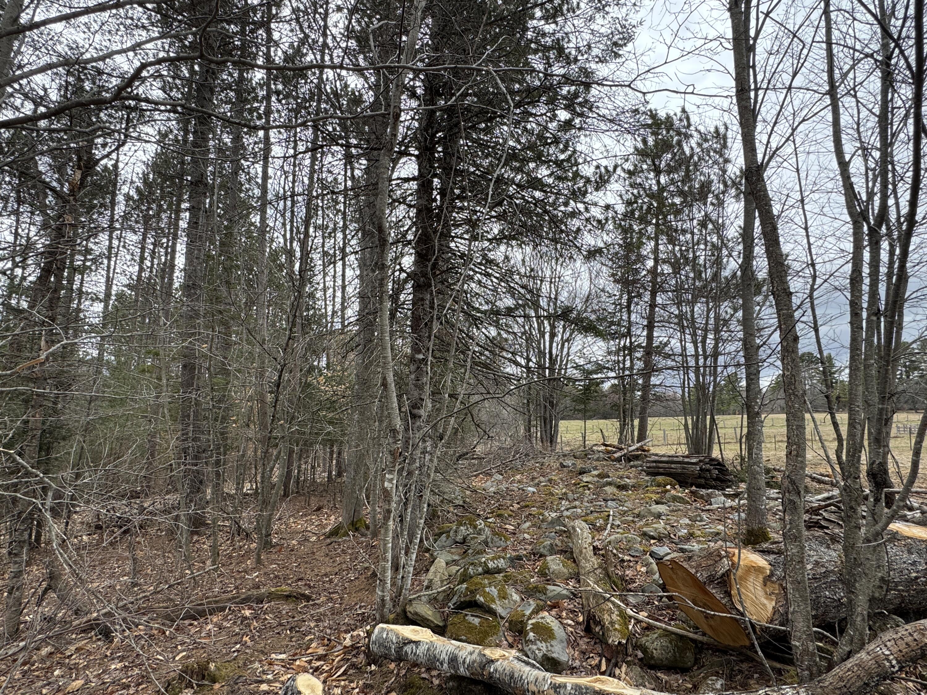 0 Mantor School House Road Parkman ME 04443