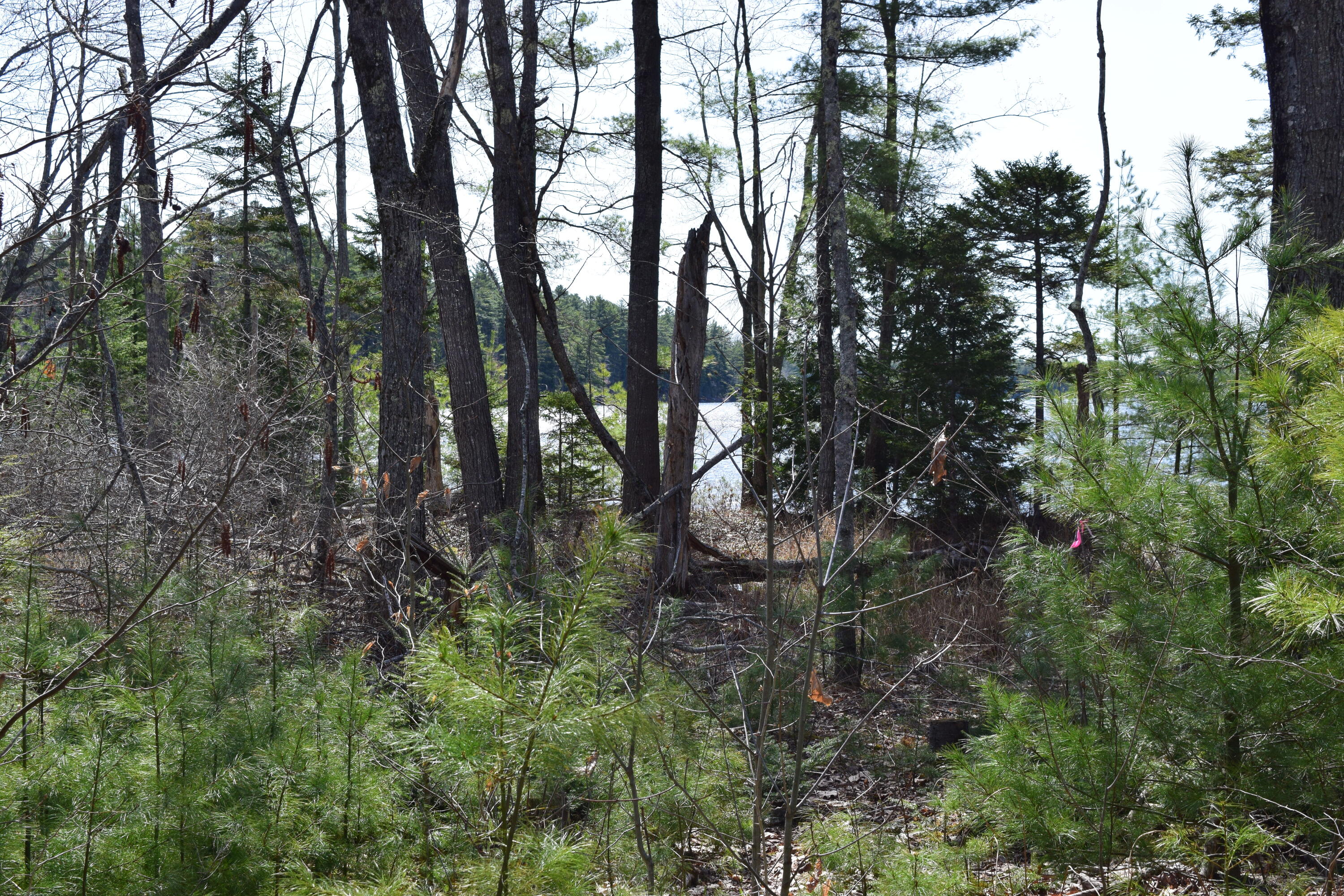 0 Legacy Way Ellsworth ME 04605