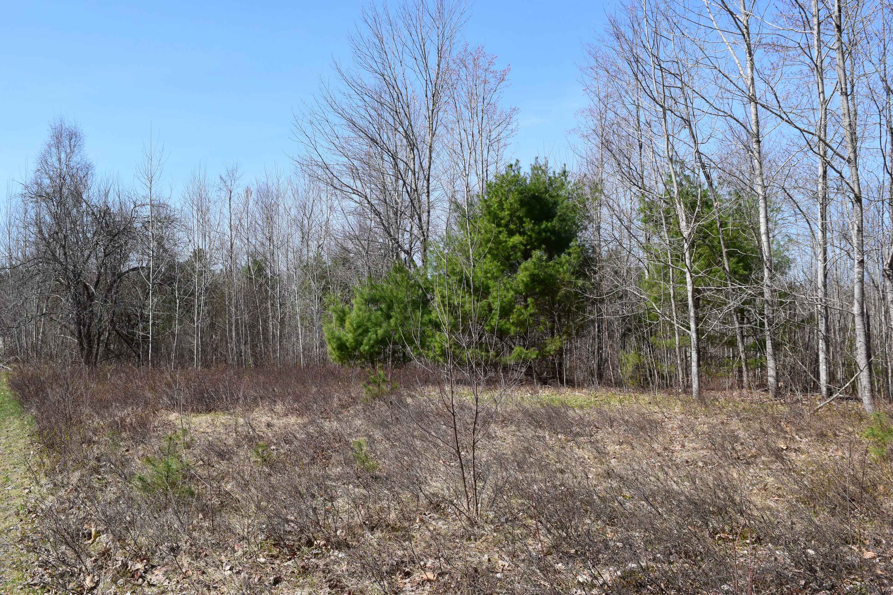 0 Legacy Way Ellsworth ME 04605