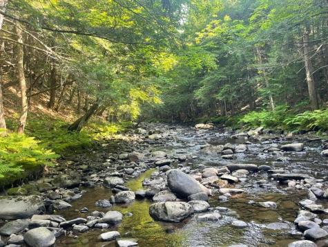 R5l31 W Mills Road Starks ME 04911