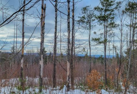 M4 L38-1 Glass Hill Road Guilford ME 04443