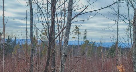 M4 L38-1 Glass Hill Road Guilford ME 04443