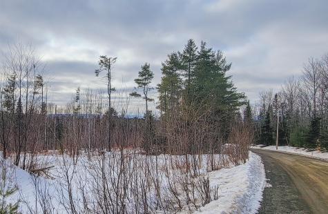 M4 L38-1 Glass Hill Road Guilford ME 04443