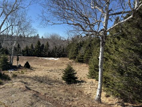 Map 17 Basin Road Addison ME 04606