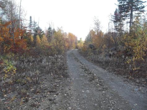 M70 L2 Airline Road Alexander ME 04694