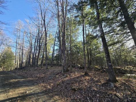 Lot 9 & 12 Smith Road New Sharon ME 04955