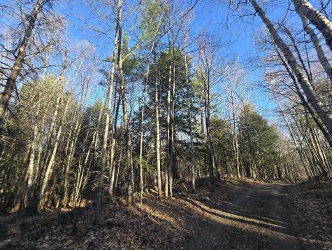 Lot 9 & 12 Smith Road New Sharon ME 04955