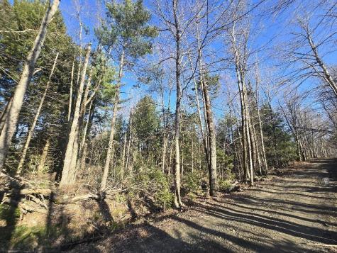 Lot 9 & 12 Smith Road New Sharon ME 04955