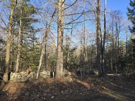 Lot 9 & 12 Smith Road New Sharon ME 04955