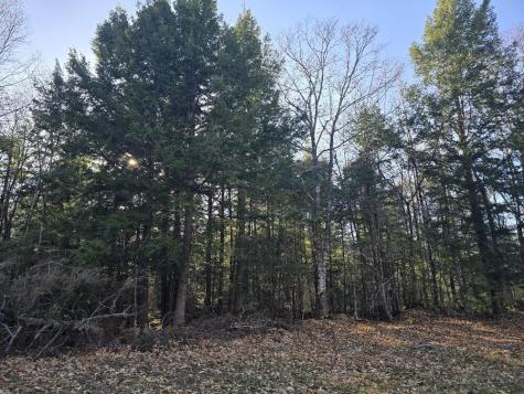 Lot 9 & 12 Smith Road New Sharon ME 04955