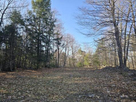 Lot 9 & 12 Smith Road New Sharon ME 04955