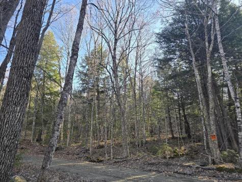 Lot 9 & 12 Smith Road New Sharon ME 04955