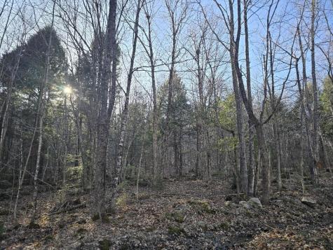 Lot 9 & 12 Smith Road New Sharon ME 04955