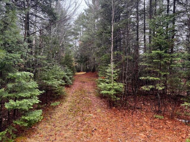 So 001 Plan 2 Lot 16.1 Long Falls Dam Road Lexington Twp ME 04961