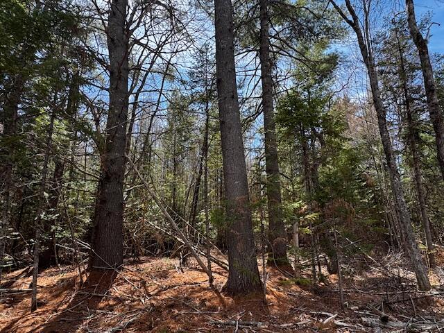 So 001 Plan 2 Lot 16.1 Long Falls Dam Road Lexington Twp ME 04961