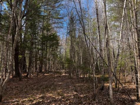 So 001 Plan 2 Lot 16.1 Long Falls Dam Road Lexington Twp ME 04961