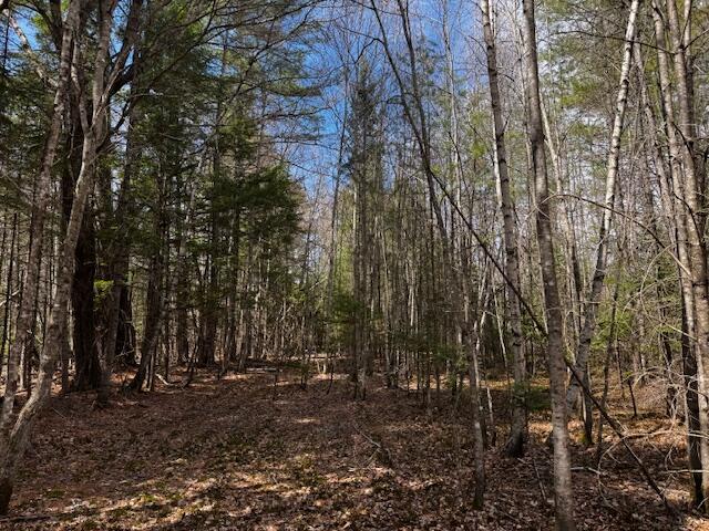 So 001 Plan 2 Lot 16.1 Long Falls Dam Road Lexington Twp ME 04961