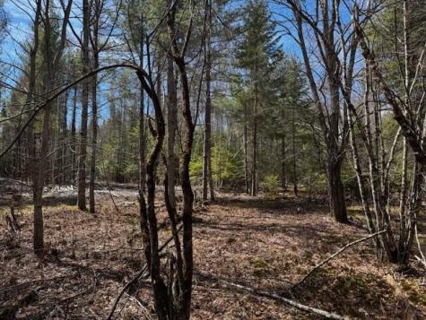 So 001 Plan 2 Lot 16.1 Long Falls Dam Road Lexington Twp ME 04961