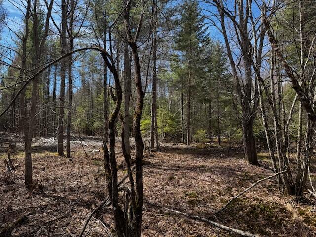 So 001 Plan 2 Lot 16.1 Long Falls Dam Road Lexington Twp ME 04961