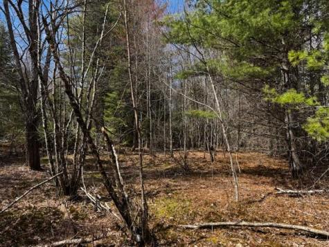 So 001 Plan 2 Lot 16.1 Long Falls Dam Road Lexington Twp ME 04961