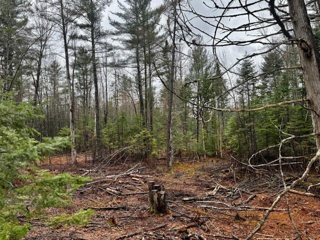 So 001 Plan 2 Lot 16.1 Long Falls Dam Road Lexington Twp ME 04961