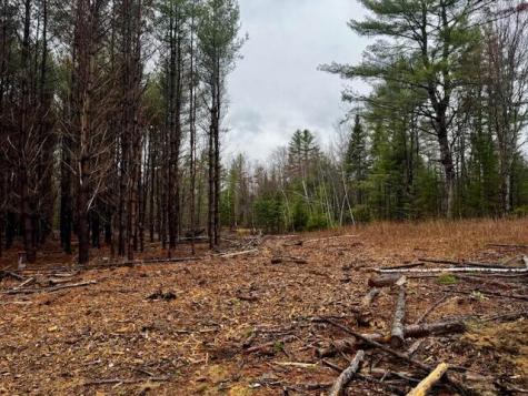 So 001 Plan 2 Lot 16.1 Long Falls Dam Road Lexington Twp ME 04961