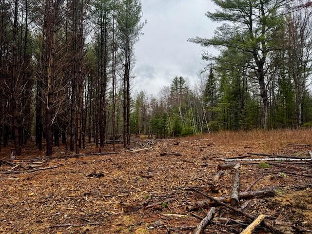 So 001 Plan 2 Lot 16.1 Long Falls Dam Road Lexington Twp ME 04961