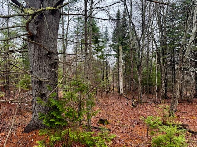 So 001 Plan 2 Lot 16.1 Long Falls Dam Road Lexington Twp ME 04961