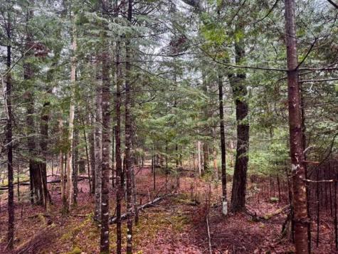So 001 Plan 2 Lot 16.1 Long Falls Dam Road Lexington Twp ME 04961