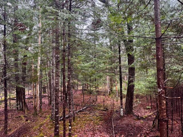 So 001 Plan 2 Lot 16.1 Long Falls Dam Road Lexington Twp ME 04961
