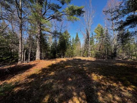 So 001 Plan 2 Lot 16.1 Long Falls Dam Road Lexington Twp ME 04961