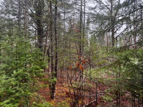 So 001 Plan 2 Lot 16.1 Long Falls Dam Road Lexington Twp ME 04961