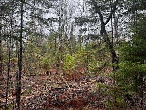 So 001 Plan 2 Lot 16.1 Long Falls Dam Road Lexington Twp ME 04961