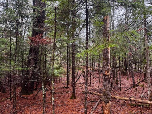 So 001 Plan 2 Lot 16.1 Long Falls Dam Road Lexington Twp ME 04961