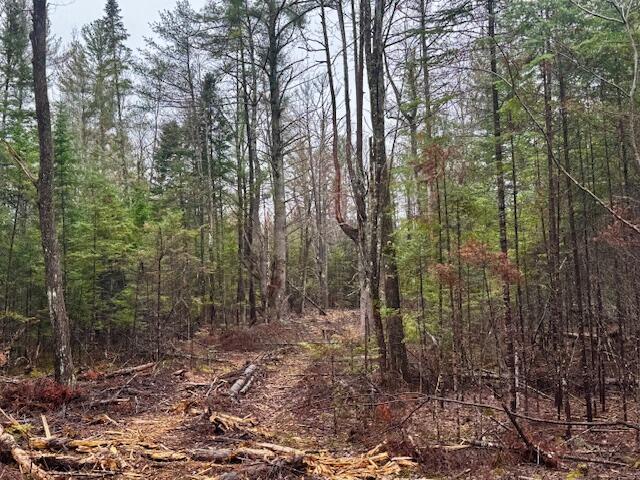 So 001 Plan 2 Lot 16.1 Long Falls Dam Road Lexington Twp ME 04961