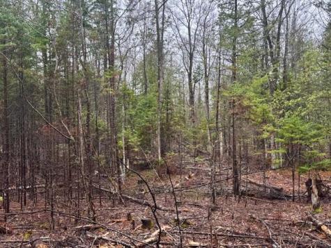 So 001 Plan 2 Lot 16.1 Long Falls Dam Road Lexington Twp ME 04961