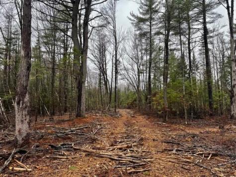 So 001 Plan 2 Lot 16.1 Long Falls Dam Road Lexington Twp ME 04961