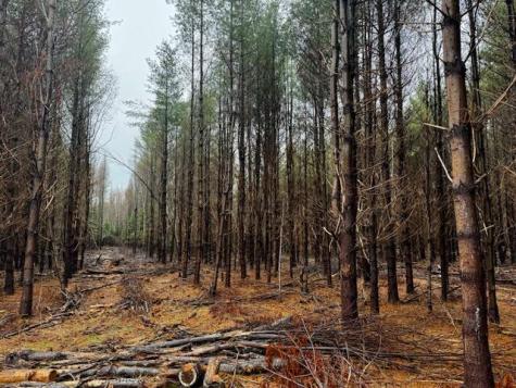 So 001 Plan 2 Lot 16.1 Long Falls Dam Road Lexington Twp ME 04961