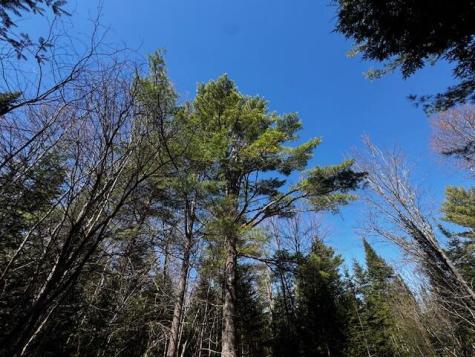 So 001 Plan 2 Lot 16.1 Long Falls Dam Road Lexington Twp ME 04961