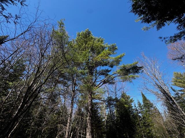 So 001 Plan 2 Lot 16.1 Long Falls Dam Road Lexington Twp ME 04961