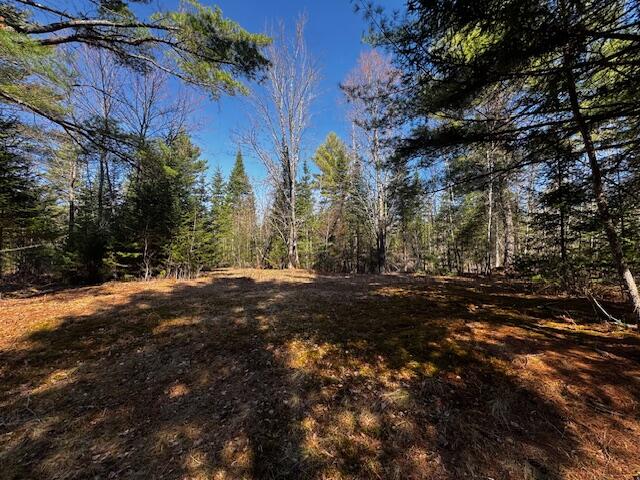 So 001 Plan 2 Lot 16.1 Long Falls Dam Road Lexington Twp ME 04961