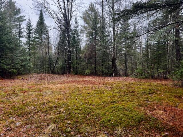 So 001 Plan 2 Lot 16.1 Long Falls Dam Road Lexington Twp ME 04961
