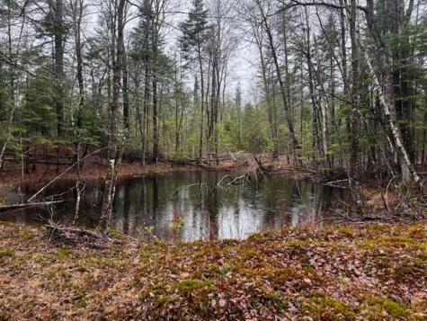 So 001 Plan 2 Lot 16.1 Long Falls Dam Road Lexington Twp ME 04961
